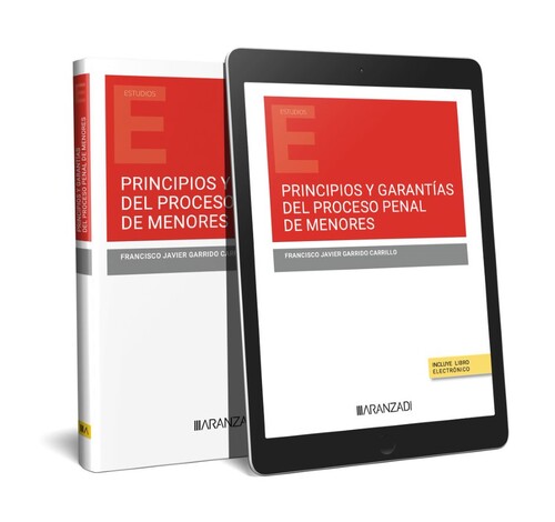 PRINCIPIOS Y GARANTIAS DEL PROCESO PENAL DE MENORES (PAPEL +