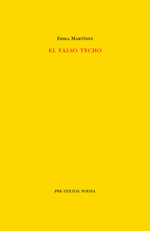 FALSO TECHO,EL
